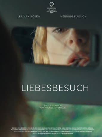 Liebesbesuch poster