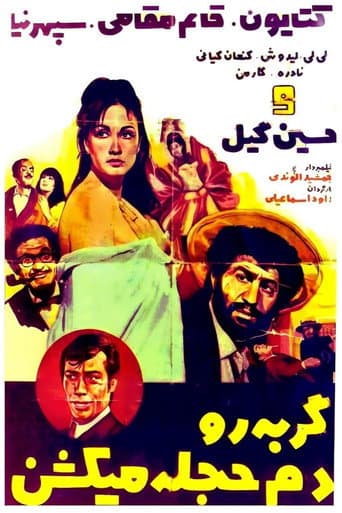 Gorbeh ro dameh hejleh mikoshan poster