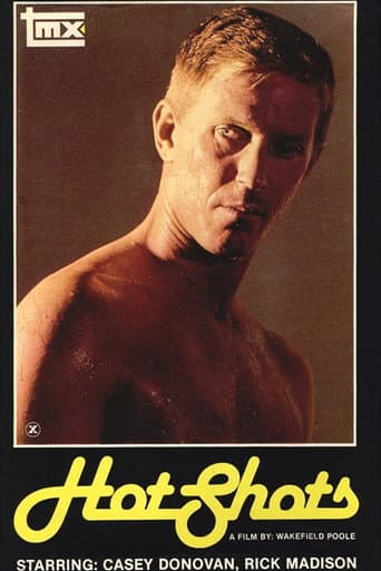 Hot Shots poster