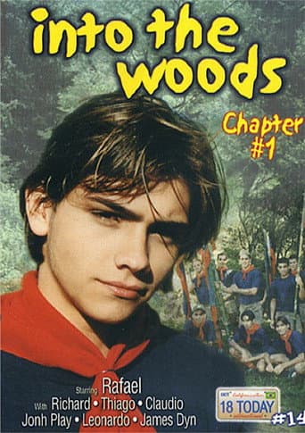 18 Today International 14: Into the Woods 1 poster