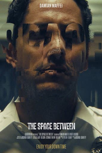 The Space Between poster