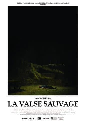 La Valse sauvage poster
