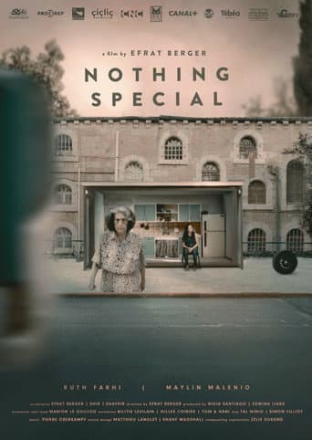 Nothing Special poster
