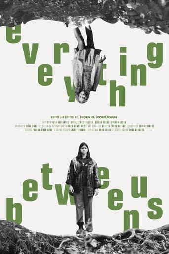 Everything Between Us poster