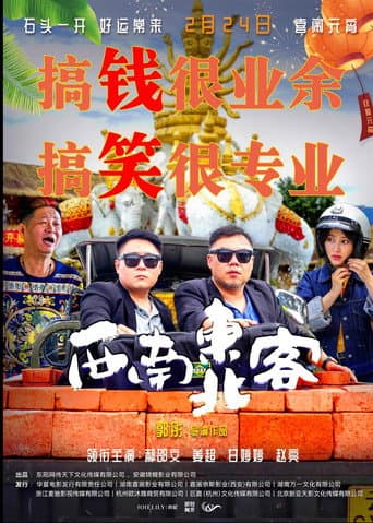 西南东北客 poster