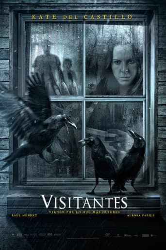 Visitors poster
