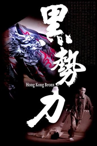 Hong Kong Bronx poster