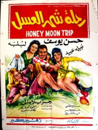 The Honeymoon Trip poster