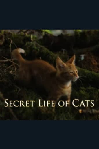 The Secret Life of Cats poster