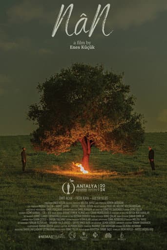 NâN poster