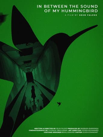 In Between the Sound of My HummingBird poster