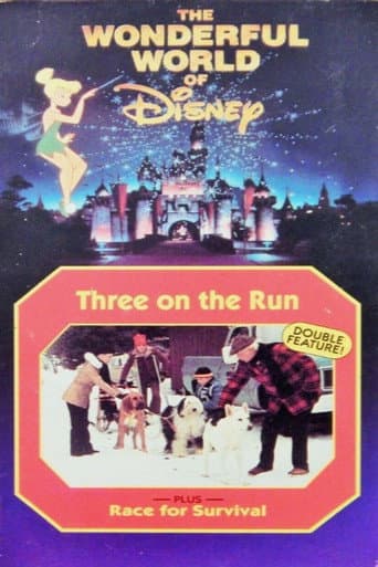 Race for Survival poster