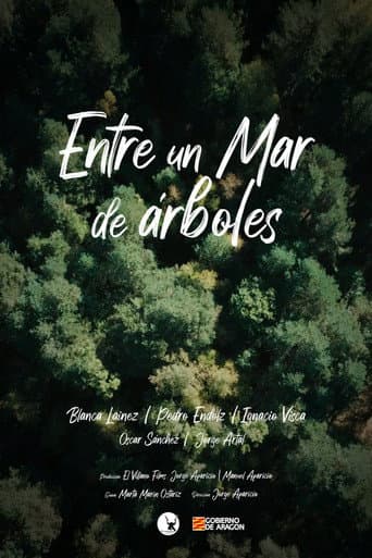 Entre un mar de árboles poster