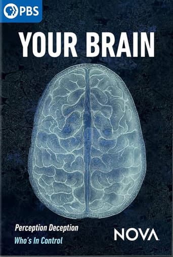 Your Brain poster