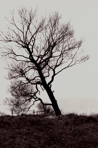 The Harrowed Coast poster