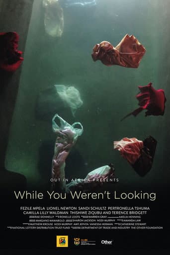 While You Weren't Looking poster