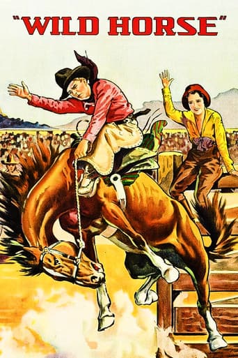 Wild Horse poster