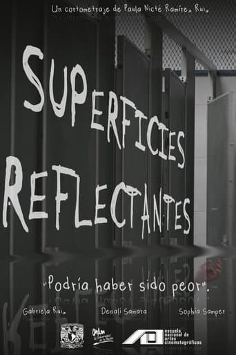 Reflective Surfaces poster
