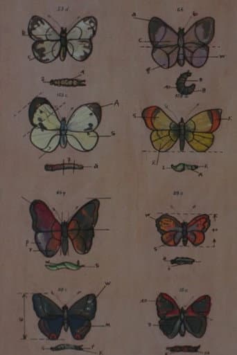 Lekcja anatomii poster