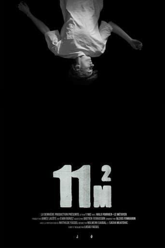 11m2 poster