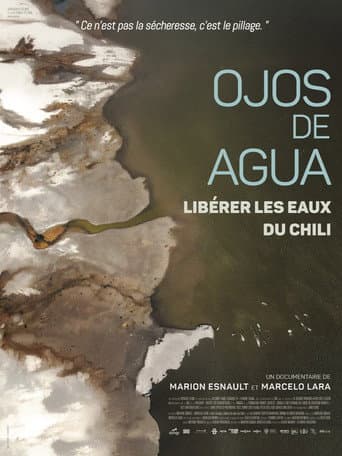 Ojos de Agua: Freeing the Waters of Chile poster