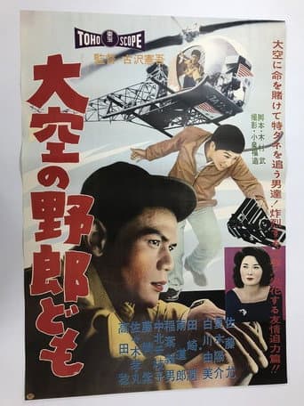 Reporters from the Sky poster