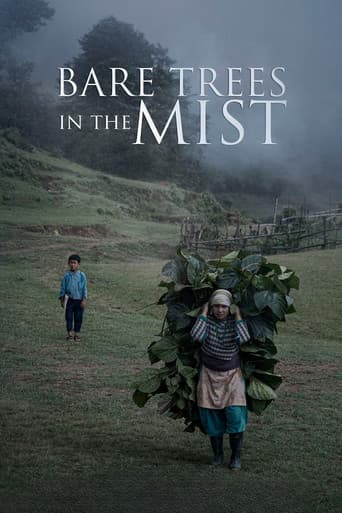 Bare Trees in the Mist poster
