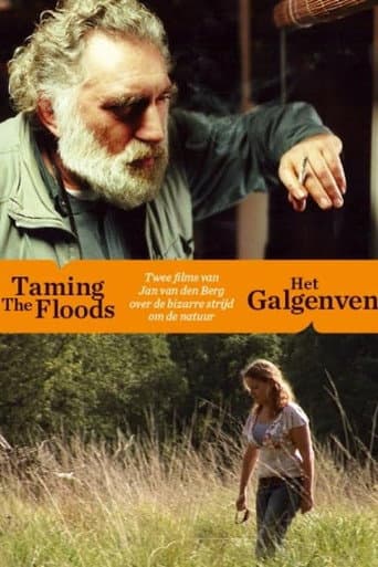 Taming the Floods poster