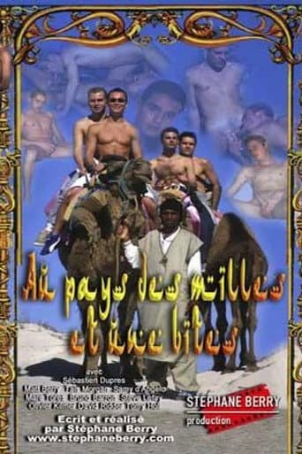 Au pays des mille et une bites poster