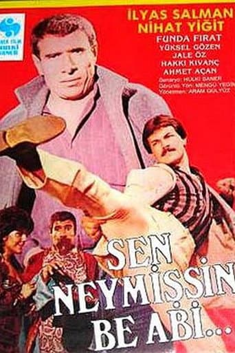 Sen Neymişsin Be Abi poster