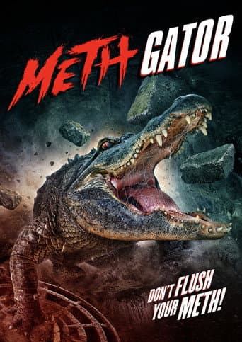 Meth Gator poster