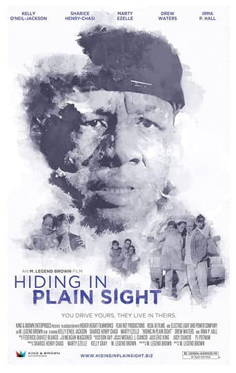 Hiding in Plain Sight poster