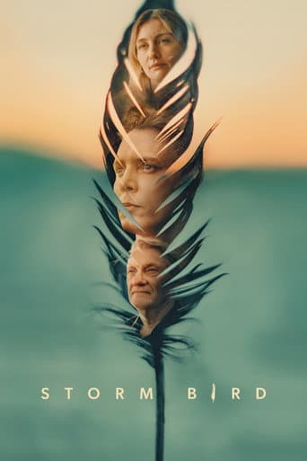 Storm Bird poster