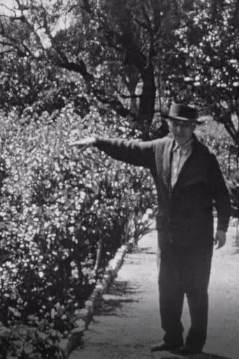 Chagall dans son jardin a Saint-Paul-de-Vence poster