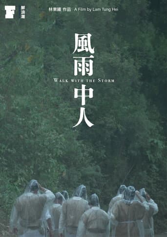 Walk with the Storm poster