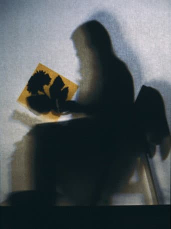 Lourdes Castro Shadows poster