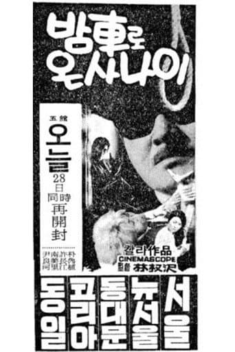 A Man Who Arrived by Night Train poster
