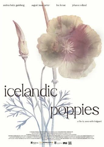 Icelandic Poppies poster