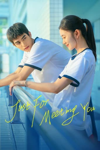 Just For Meeting You poster