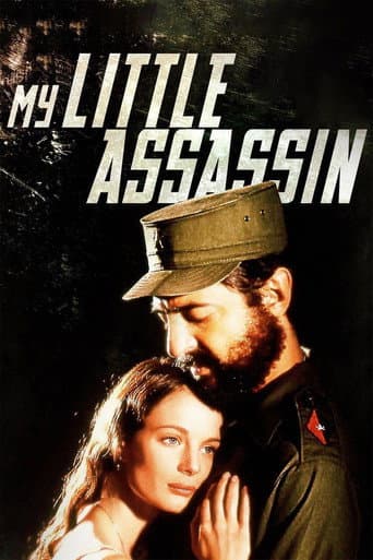 My Little Assassin poster