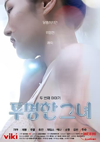 The Transparent Girls Second Story poster
