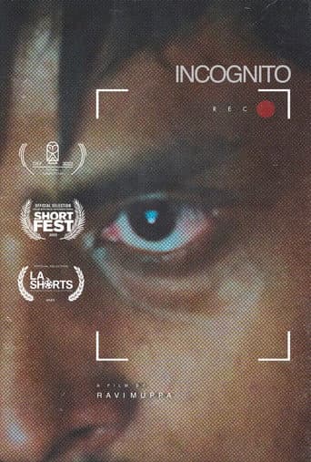 Incognito poster