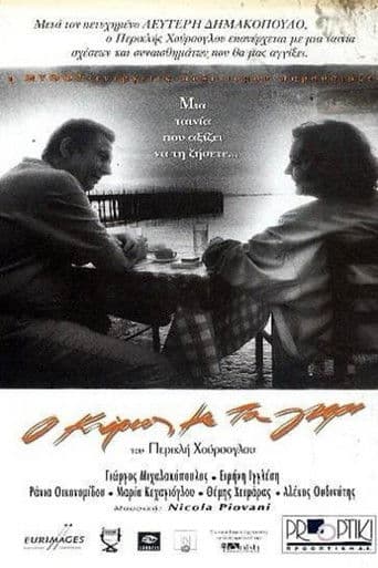The Man in Grey poster