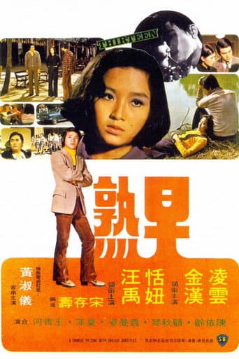 Thirteen poster