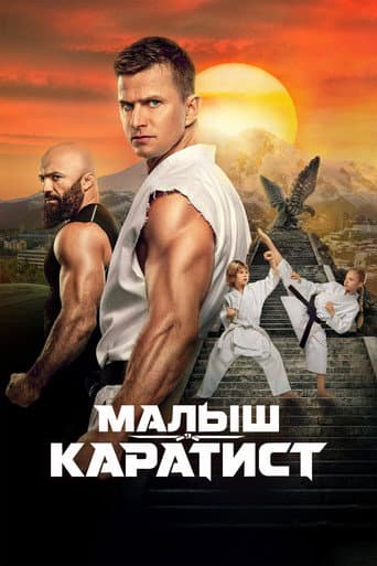 The Next Karate Kid poster