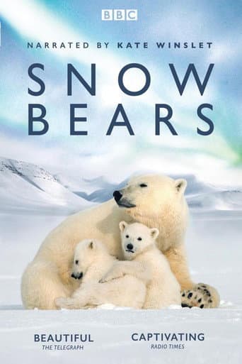 Snow Bears poster