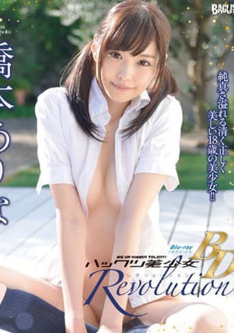 Excavation, Such Yes Pretty Revolution / Hashimoto poster