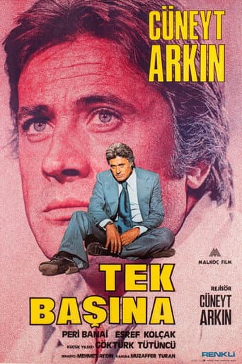 Tek Başına poster