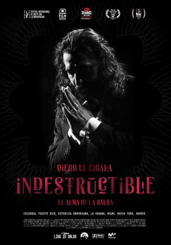 Indestructible: El alma de la salsa poster