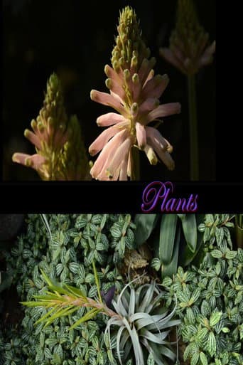 Plants poster